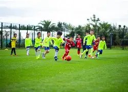 郎平名言引,发热议,她究竟说了,开云体育,开云体育官网,开云体育app,开云体育平台,KAIYUN,SPORTS,kaiyun登录入口