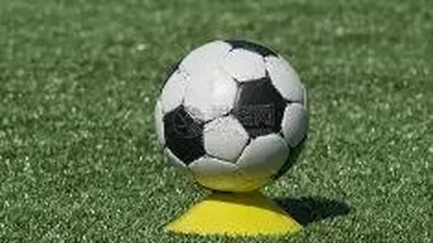 开运体育网页版 产品 093524 juv